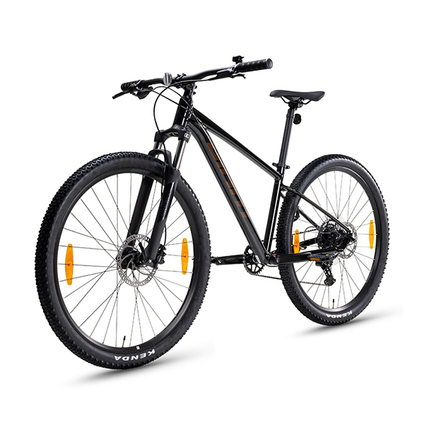 ale master bib shorts